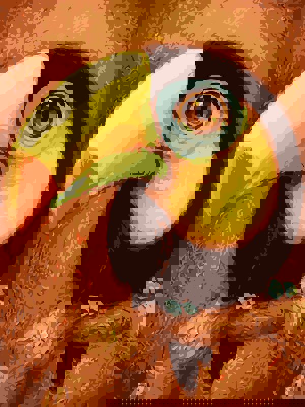 Toy