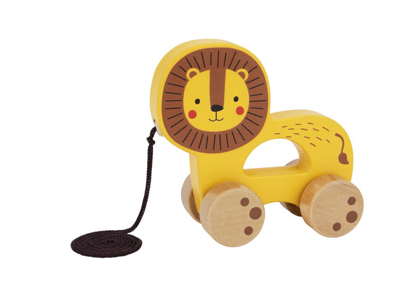 Toy
