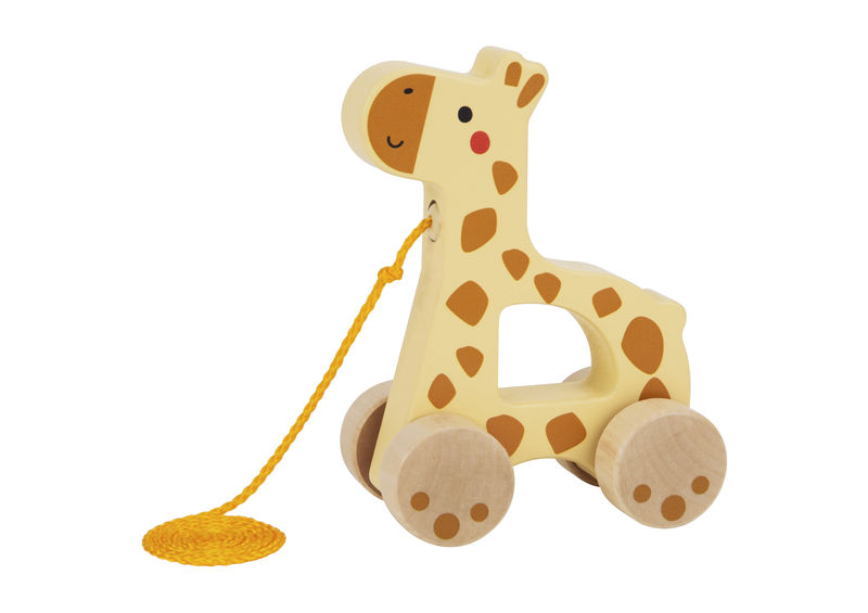 Toy