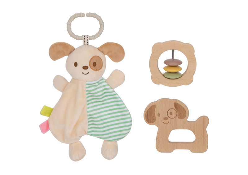 Toy