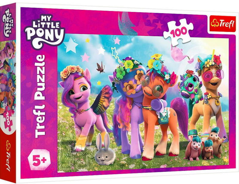 Toy