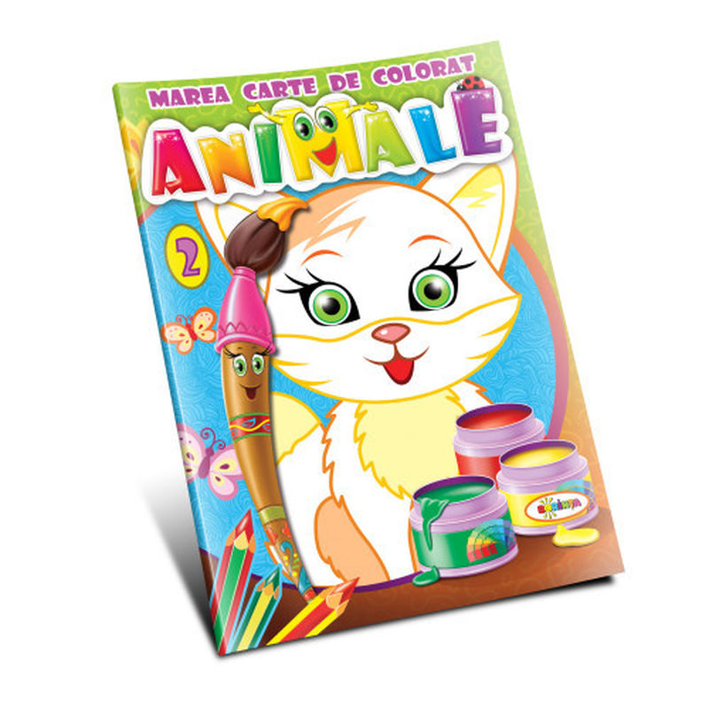 Toy