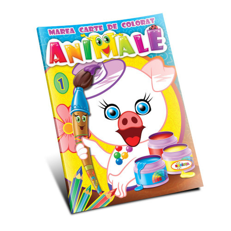 Toy