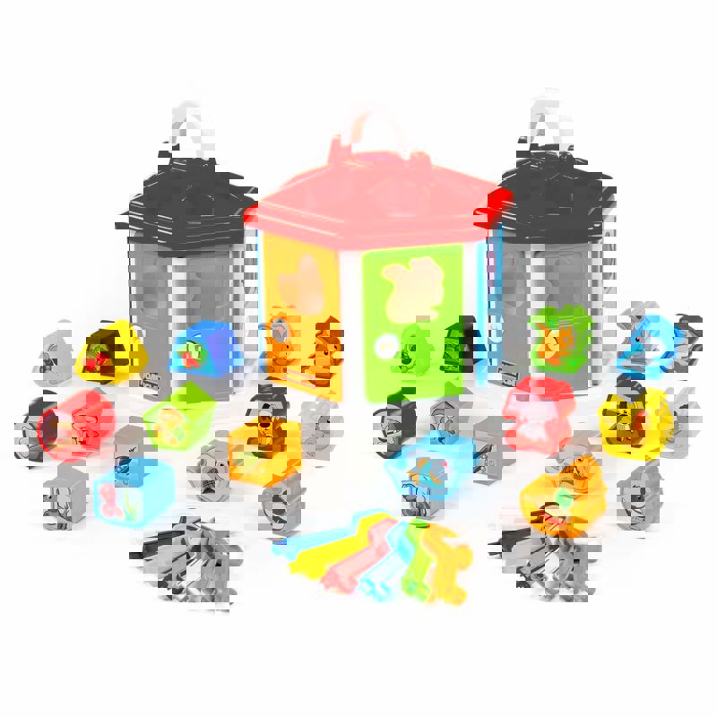 Toy