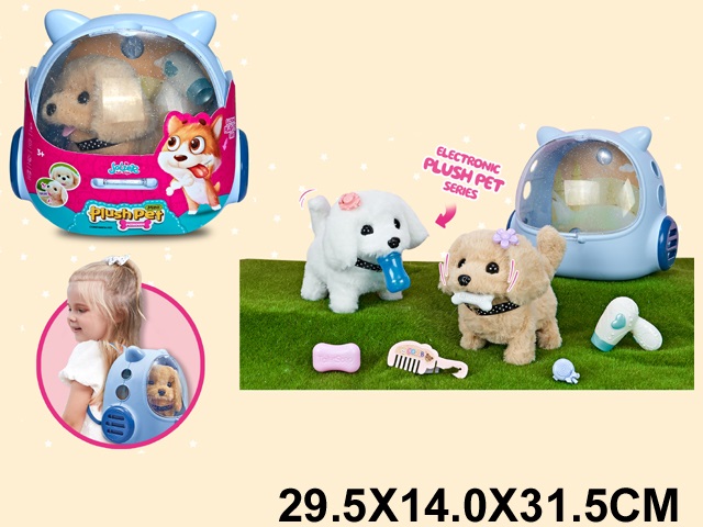 Toy