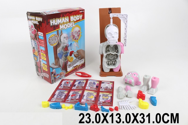 Toy