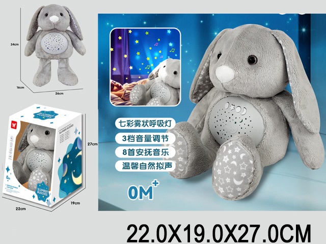 Toy