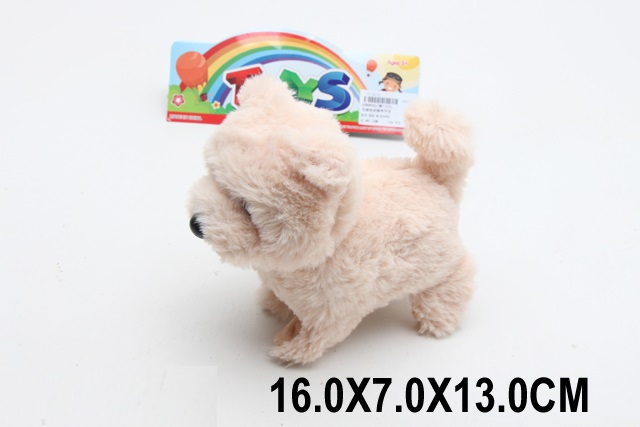 Toy