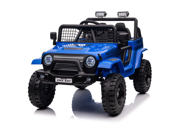 Toy