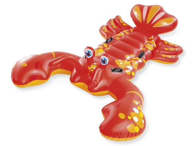 Toy