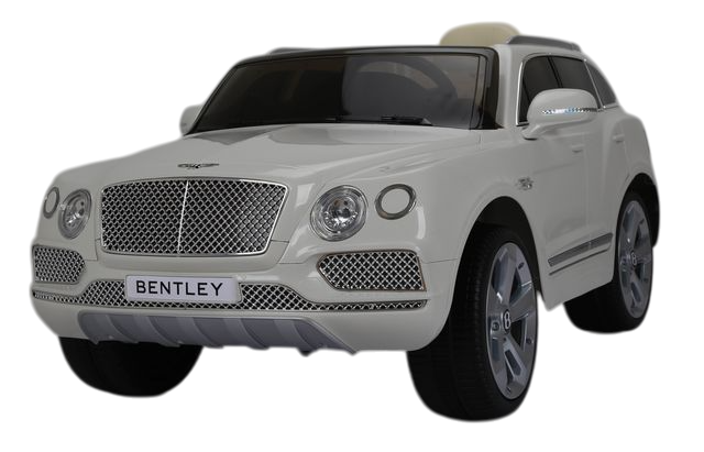 Toy