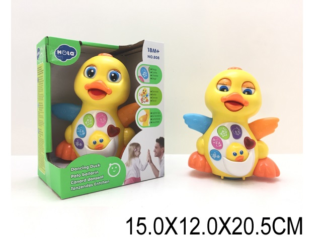 Toy